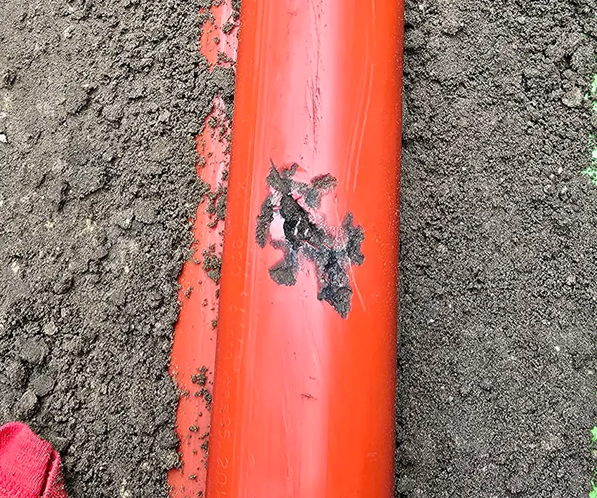 Mantelschade Mantelschade